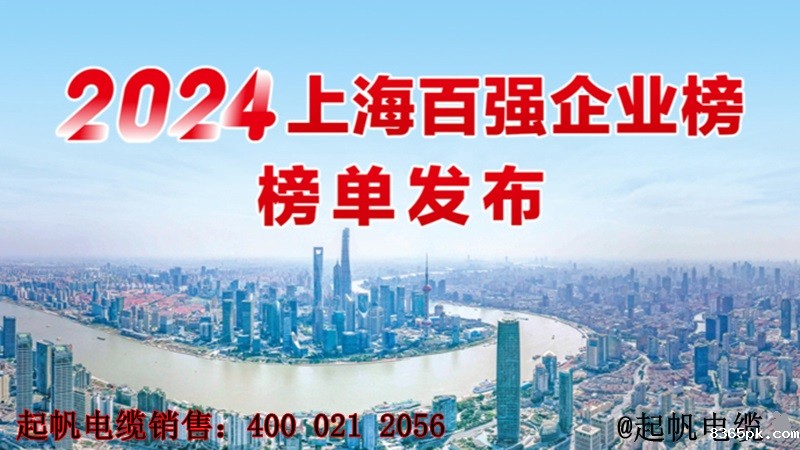 2024年上海百强企业榜单发布