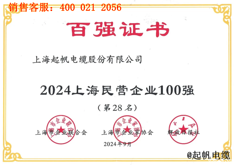 伟德国际1946bv官网入围2024年上海民营企业100强第28名